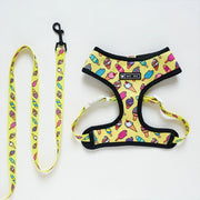 Leash Harness Set For French Bulldog